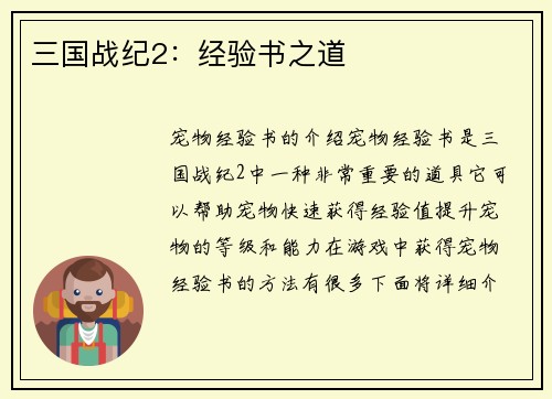 三国战纪2：经验书之道